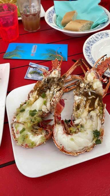 L'Amour A La Plage...Vue Mer Exceptionnelle ! Les Trois-Ilets Ngoại thất bức ảnh