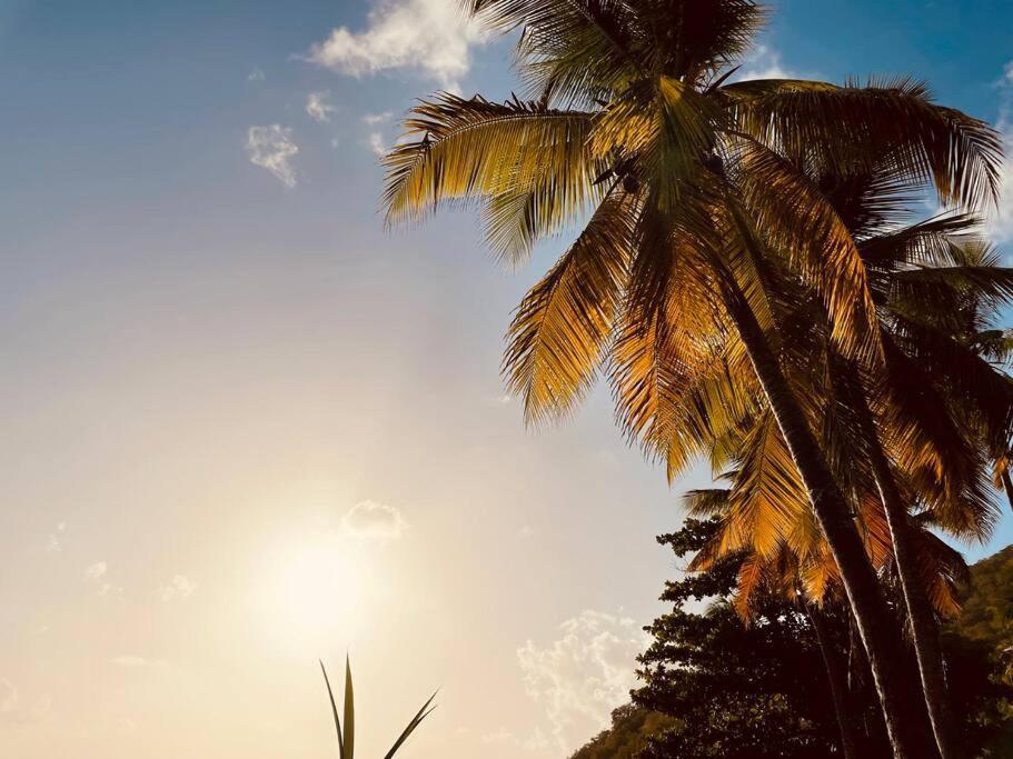L'Amour A La Plage...Vue Mer Exceptionnelle ! Les Trois-Ilets Ngoại thất bức ảnh