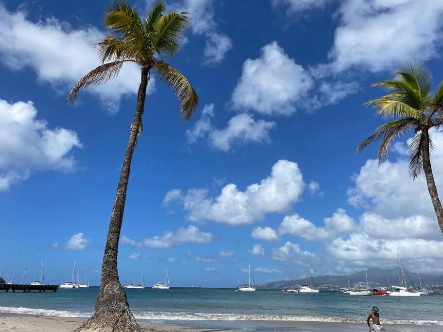 L'Amour A La Plage...Vue Mer Exceptionnelle ! Les Trois-Ilets Ngoại thất bức ảnh